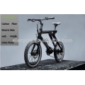 Latest carbon fiber e bike, 36v 250w middle drive crank motor electric bicycke bike
